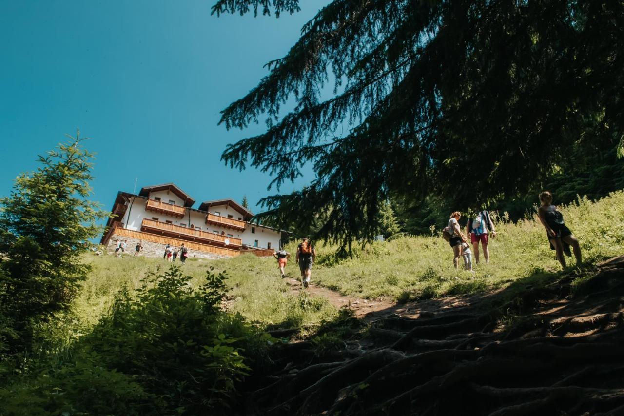Cabana Fantanele Ceahlău エクステリア 写真